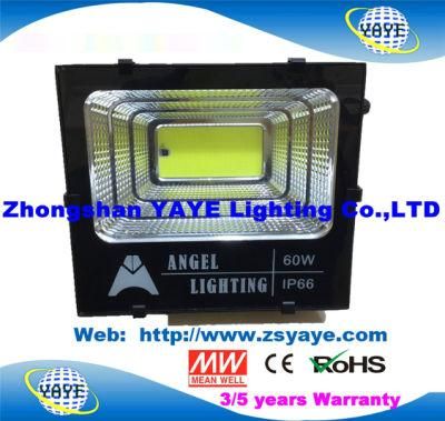 Yaye 18 Hot Sell Factory Price 60W Outdoor Waterproof Solar Flood Light / LED Floodlight (Available Watt: 100W/60W/40W/25W)