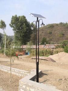 CFL Solar Yard Lamp 3w*2