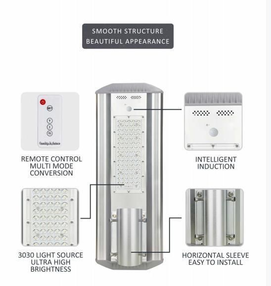 30W Adjustable Camera All in One Solar LED Street Light