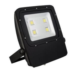 Landscape Lamp Garden Spotlight Spot Outdoor LED Flood Light